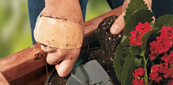 Hands with a Nexcare™ Wound Dressing planting a garden.
